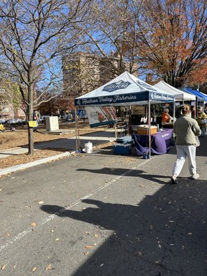 Forest Hills Greenmarket by null