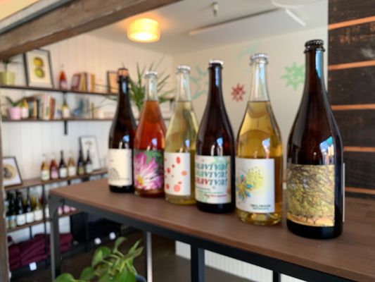 Tilted Shed Ciderworks by null