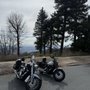 No Pork Motorsports