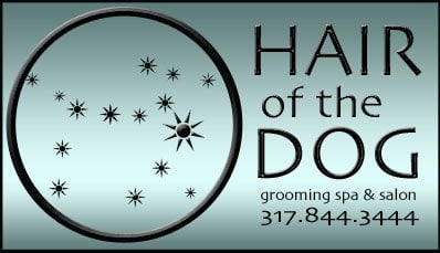 Hair of the Dog by null