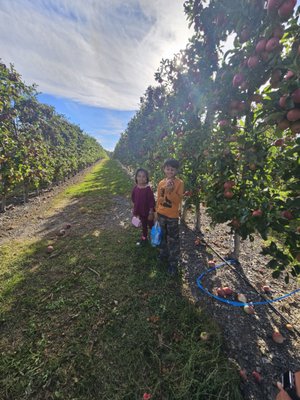 Minard's Family Farm by null