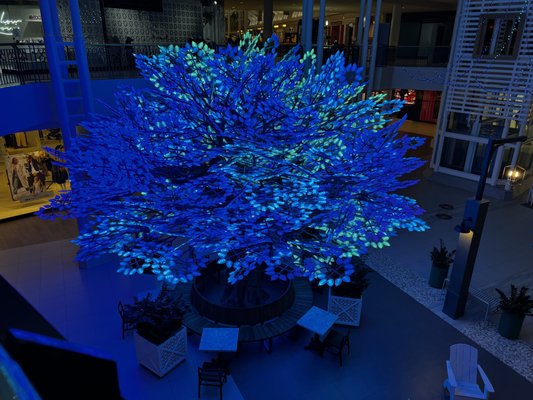 North Point Mall by null