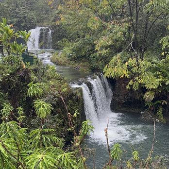 Temptation Tours - Tours Near Me - Kahului, Hawaii Temptation Tours - Tours Near Me - Kahului, Hawaii