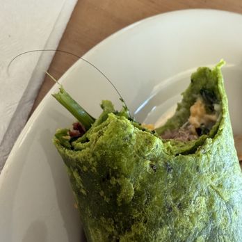 Air Canada Maple Leaf Lounge - Airport Lounges Near Me - Richmond, British Columbia