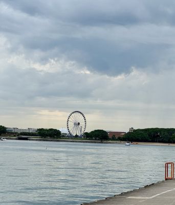 North Avenue Beach by null