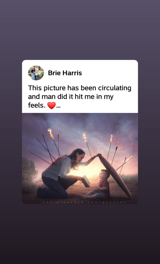 TRAILER ESTATES PARK & RECREATION DISTRICT Updated June 2024 6814