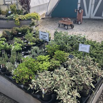 Spring Bluff Nursery - Nurseries & Gardening Near Me - Sugar Grove, Illinois