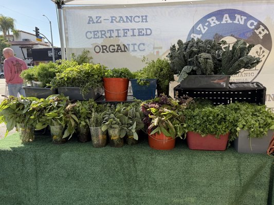 Toluca Lake Farmers Market by null