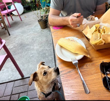 Tamale House East by null