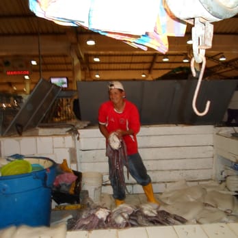 Sundowners - Calamari being sold in Ecuador fish market. Huge, not to tender, must be cut in little french fry shapes and tenderized. - Seafood Near Me - Key Largo, Florida Sundowners - Calamari being sold in Ecuador fish market. Huge, not to tender, must be cut in little french fry shapes and tenderized. - Seafood Near Me - Key Largo, Florida