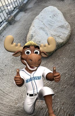 Plymouth Rock by null