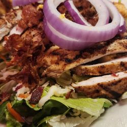 Grilled Chicken Salad