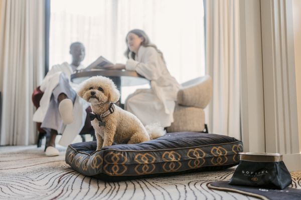 Sofitel New York by null