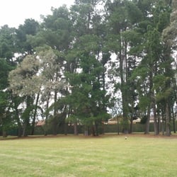 Birchfield Reserve