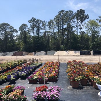 Holiday's Nursery & Landscaping - Nurseries & Gardening Near Me - Jacksonville, Florida Holiday's Nursery & Landscaping - Nurseries & Gardening Near Me - Jacksonville, Florida