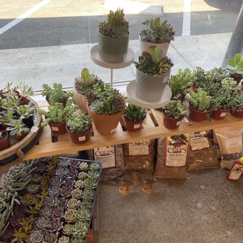 Urban Garden - Home & Garden Near Me - Santa Rosa, California Urban Garden - Home & Garden Near Me - Santa Rosa, California