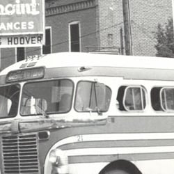 Cardinal Buses