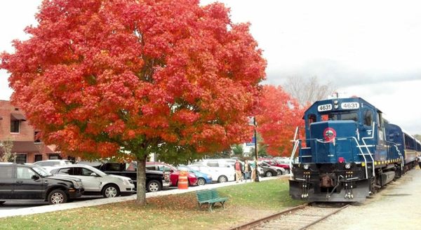 Blue Ridge Scenic Railway by null