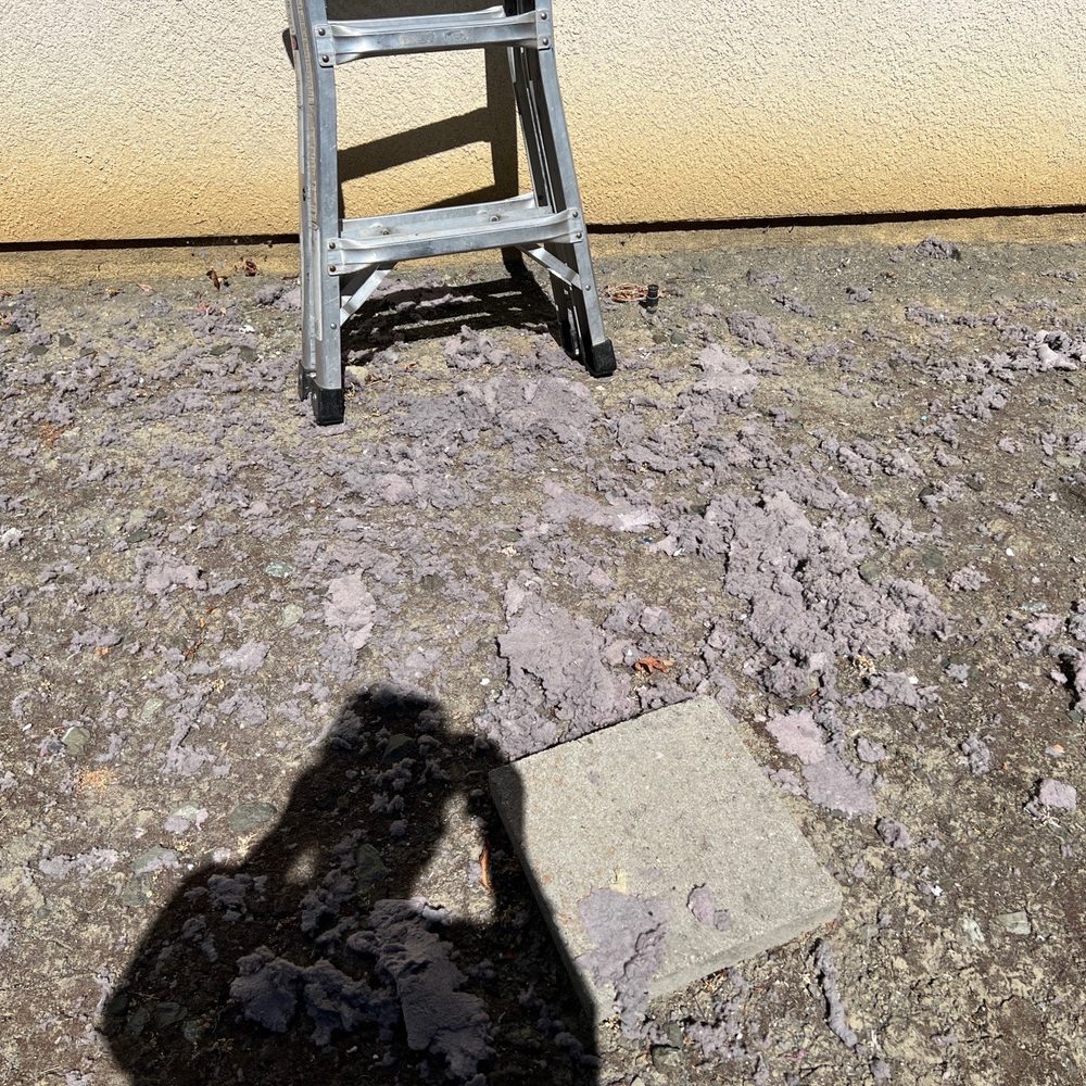 Dot's Dryer Vent Cleaning - Air Duct Cleaning Near Me