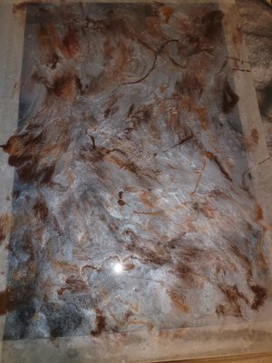 Colorado Color Concepts