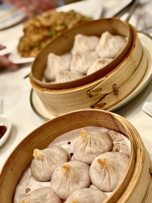 Soup Dumpling Plus by null
