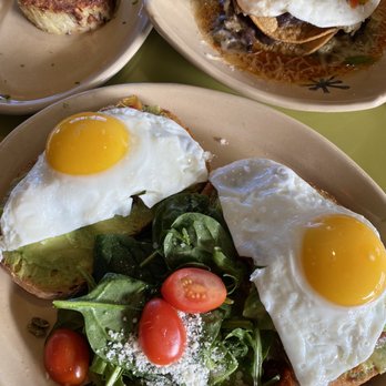 Snooze, an A.M. Eatery - Bravocado toast and huevos rancheros - Breakfast & Brunch Near Me - Westminster, Colorado