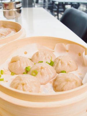 Dumpling Master | Bubble Tea & Noodles by null
