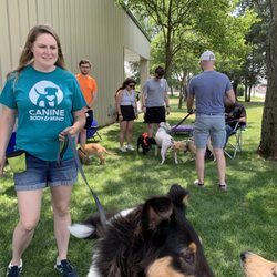 Canine Body and Mind - Dog and puppy socialization and enrichment at our Doggy Ice Cream Social