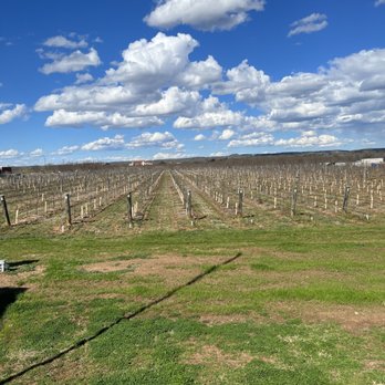 Hilmy Cellars - So peaceful sitting on the patio! - Wineries Near Me - Fredericksburg, Texas Hilmy Cellars - So peaceful sitting on the patio! - Wineries Near Me - Fredericksburg, Texas