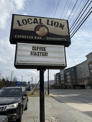 Local Lion by null