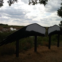 Lake Woodruff National Wildlife Refuge - Photo op