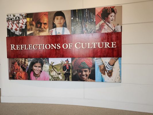 Fernbank Museum | 3D Theater | Forest by null