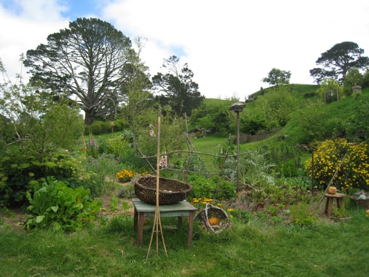 Hobbiton™ Movie Set Tours by null