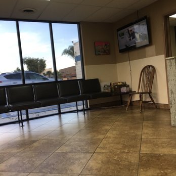 beach city animal hospital