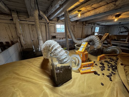 Grandpa Tiny's Farm by null