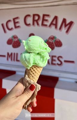 Walls Old Fashioned Ice Cream by null