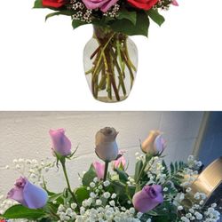 Ruth's Roses - What was ordered -VS- what we got