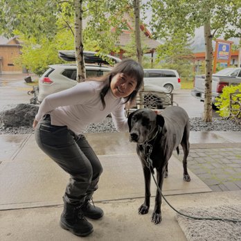 Black Dog Cafe - Everyone loves the dog - Cafes Near Me - Canmore, Alberta
