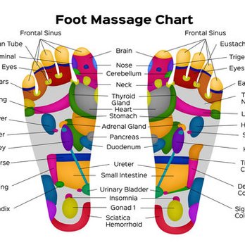 Rooted Elevation Wellness Massage Therapy - Massage Therapy Near Me - Geneva, Illinois Rooted Elevation Wellness Massage Therapy - Massage Therapy Near Me - Geneva, Illinois
