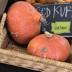 Viva Farms - Red Kuri Squash