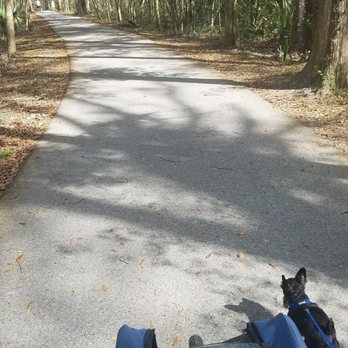 Black Creek Park and Trail - Nice paved trail - perfect for bikes & strollers - Hiking Near Me - Fleming Island, Florida