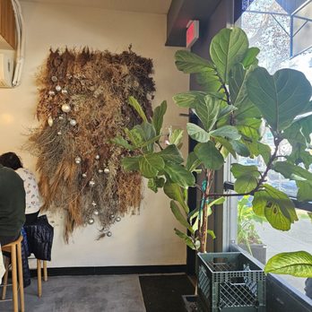 Scorpio Coffee - Front interior (part of it) - Coffee & Tea Near Me - Sacramento, California