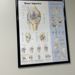 OrthoXpress - Picture of knee