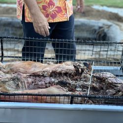Smith's Family Garden Luau - The Imu Pig unearthed before being sat for dinner.