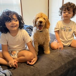 Rainbow Service Dogs - Two Boys and their dog
Cosmos McClean