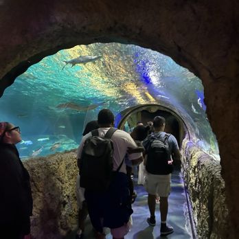 Sea Life - Aquariums Near Me - Orlando, Florida Sea Life - Aquariums Near Me - Orlando, Florida