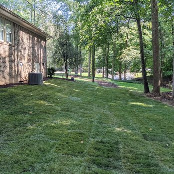 Lawns by Carlito - a view of the back yard - Landscaping Near Me - Durham, North Carolina Lawns by Carlito - a view of the back yard - Landscaping Near Me - Durham, North Carolina