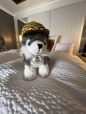 Staypineapple, A Delightful Hotel, South End Boston by null