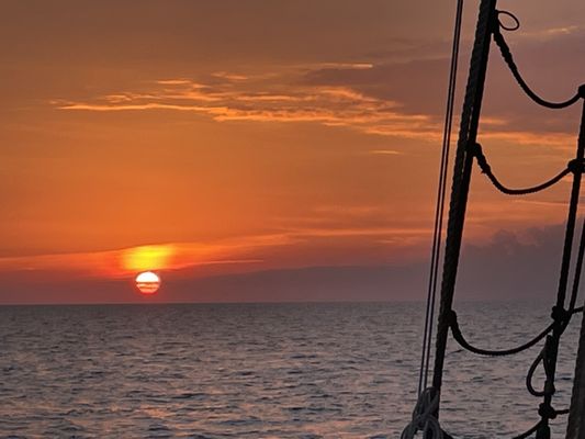 Liberty Fleet of Tall Ships Boston by null