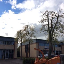 Bennetts Tree Care - Commercial works in London